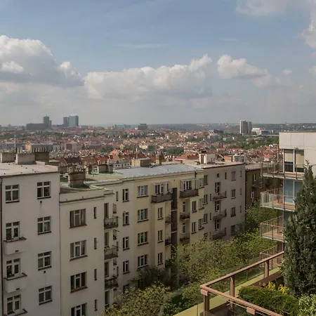 Teichmann Premium * Прага